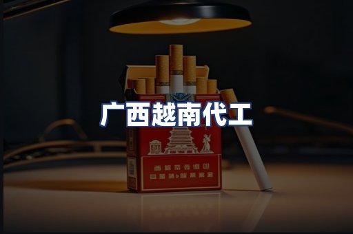 广西越南代工